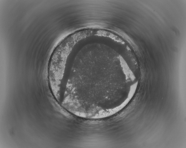 X0000111441240200908241137