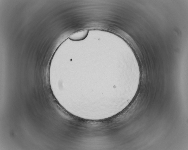 X0000111441242200908241137