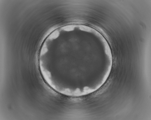 X0000111441243200908241137