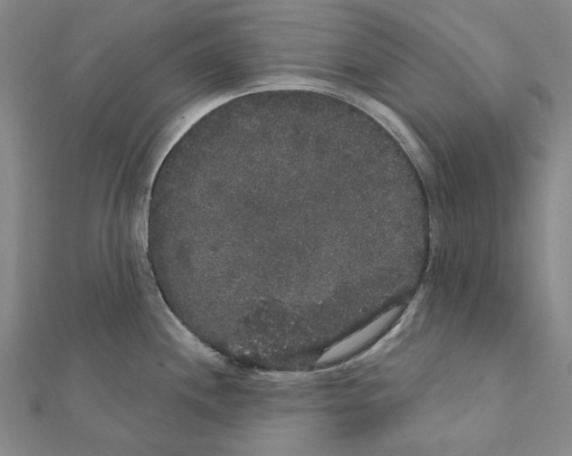 X0000111441244200908241137