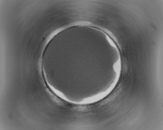 X0000111441245200908241137
