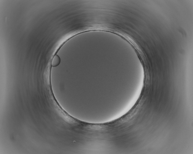 X0000111441246200908241137