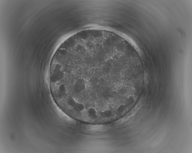 X0000111441247200908241137