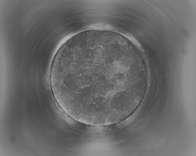 X0000111441248200908241137