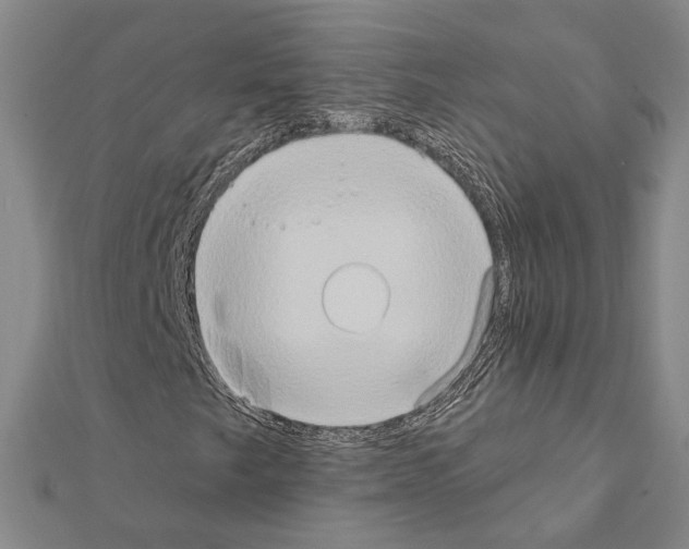 X0000111441249200908241136
