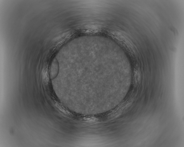 X0000111441250200908241136
