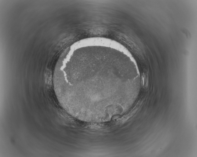 X0000111441251200908241136