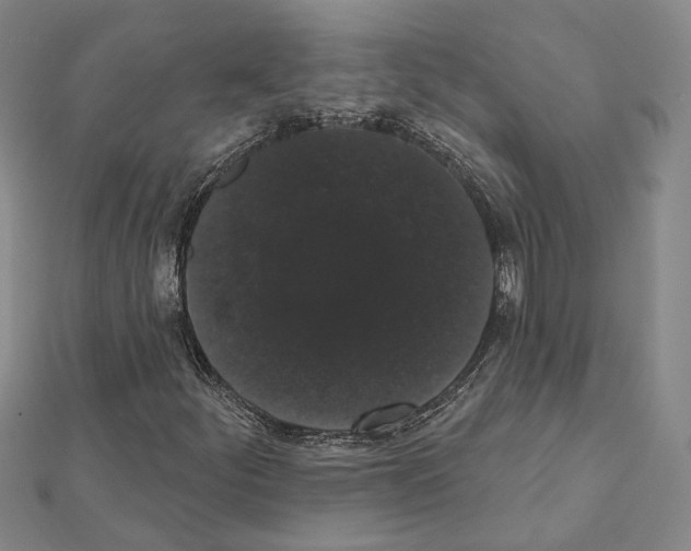 X0000111441252200908241136