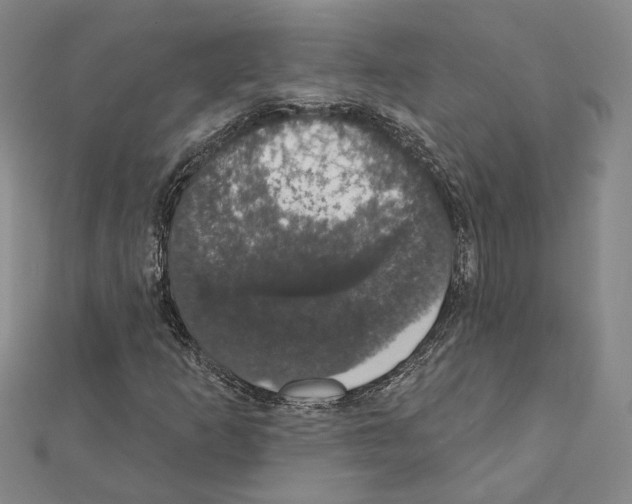 X0000111441253200908241136