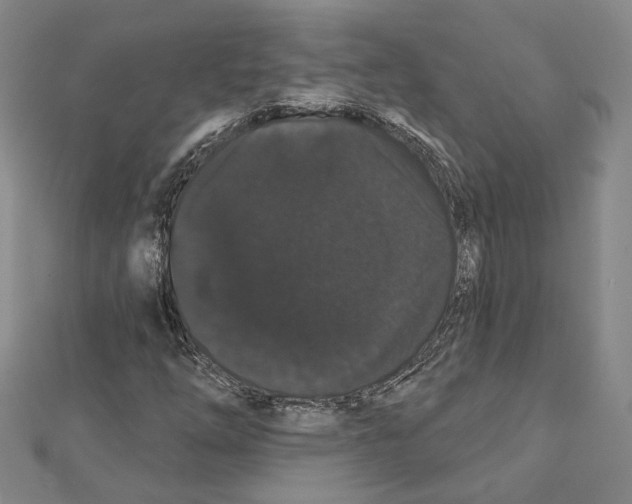 X0000111441254200908241136