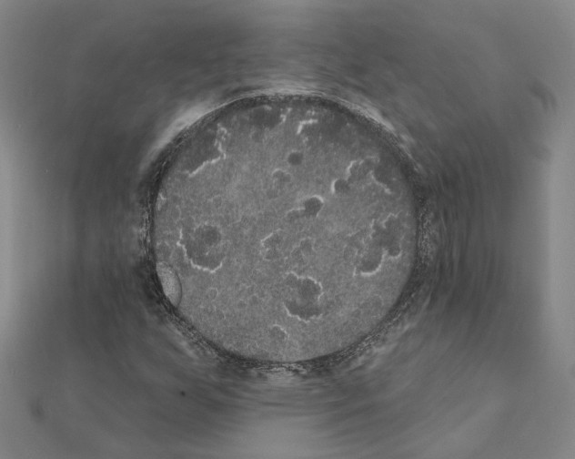 X0000111441255200908241136