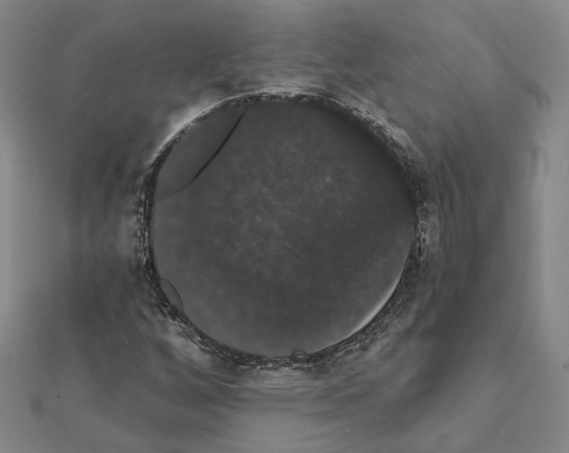 X0000111441256200908241136