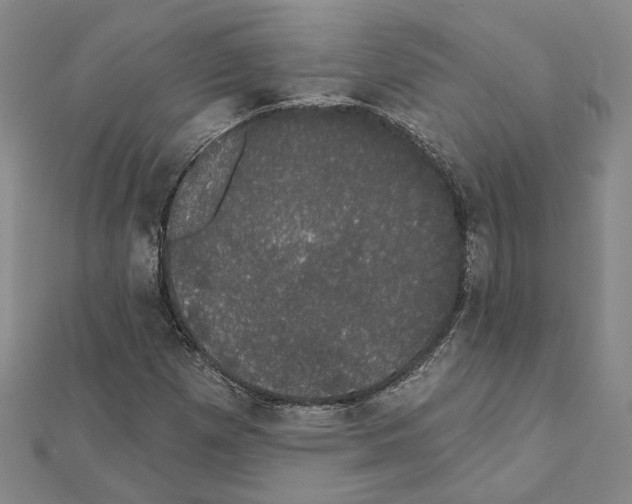 X0000111441257200908241136