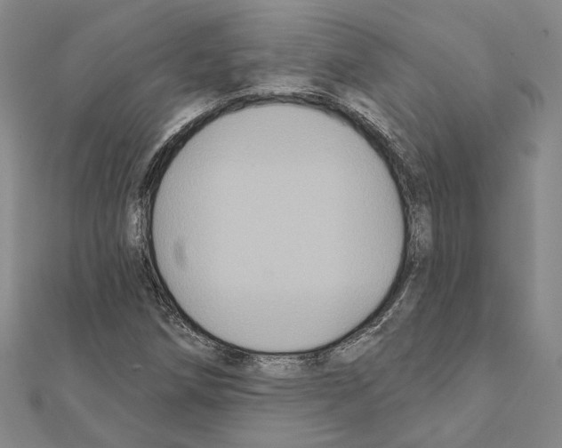 X0000111441258200908241136