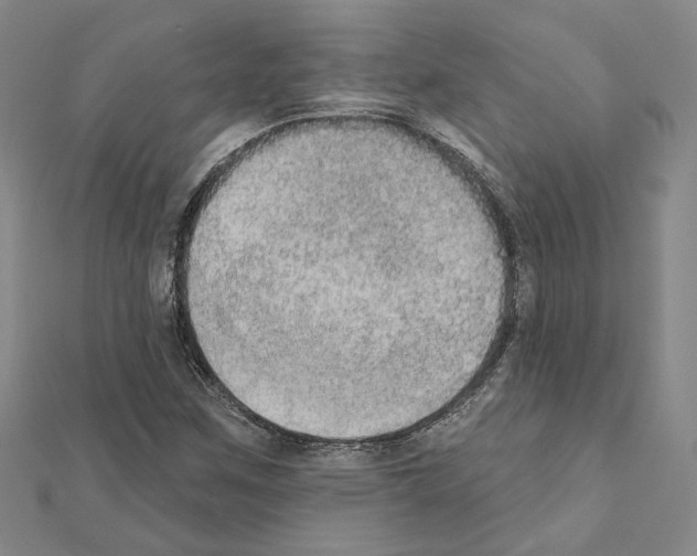 X0000111441259200908241136