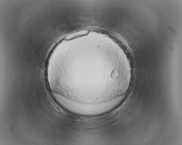 X0000111441260200908241136