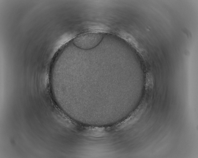 X0000111441261200908241136