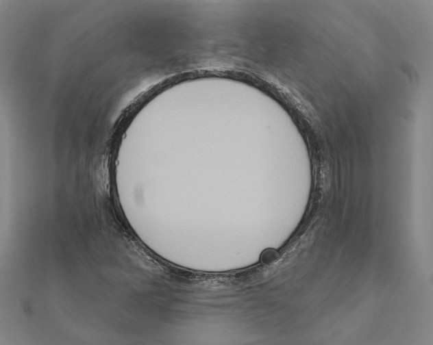 X0000111441262200908241136