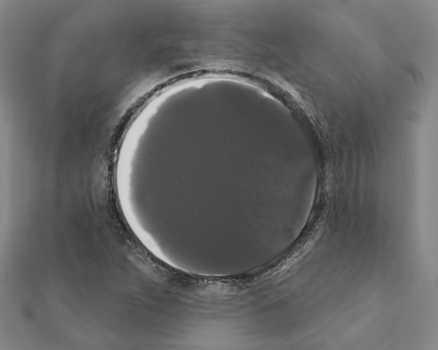 X0000111441263200908241136
