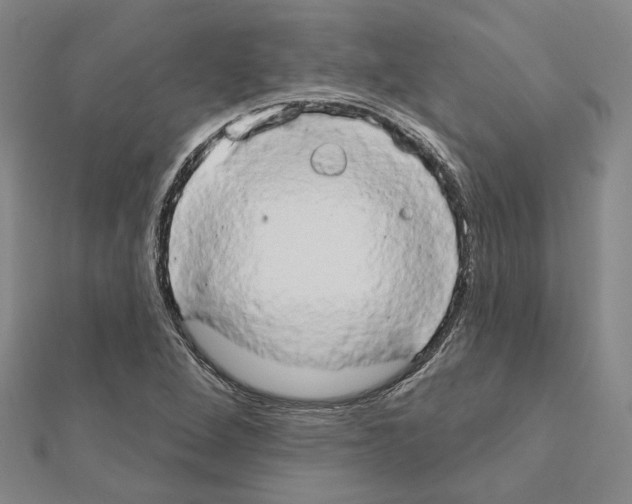 X0000111441264200908241136