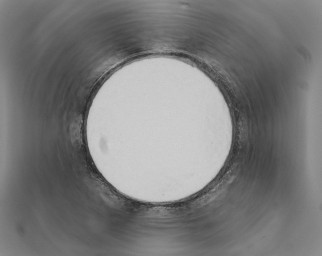 X0000111441265200908241136