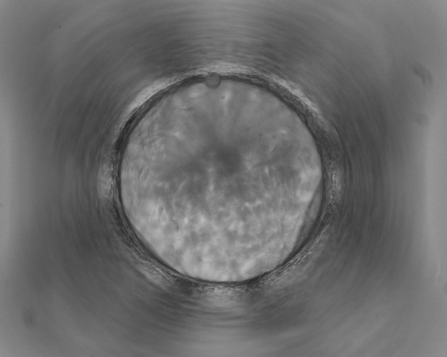 X0000111441266200908241136