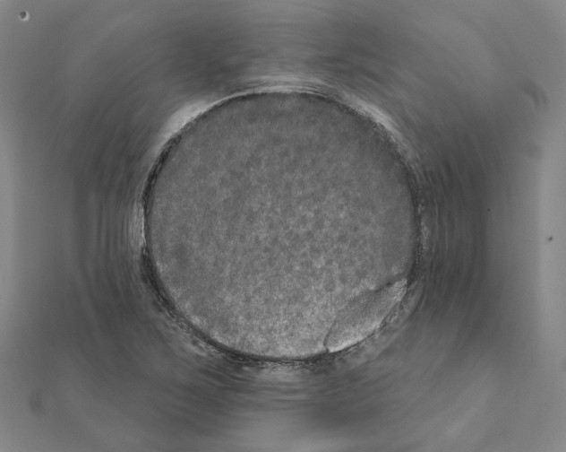 X0000111441267200908241136