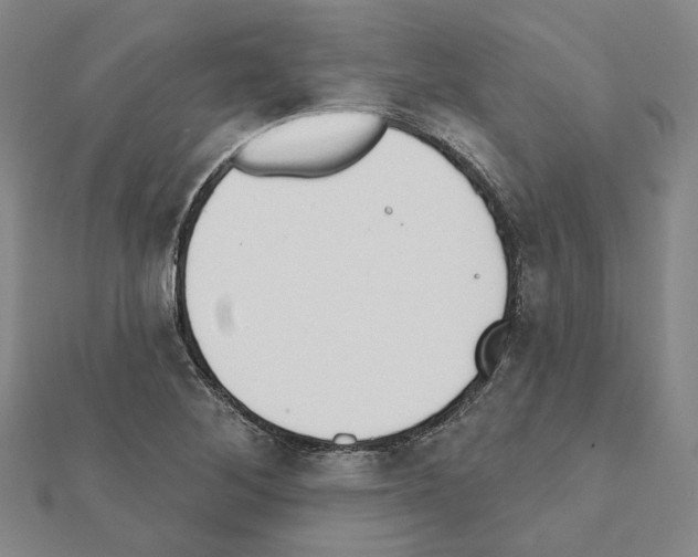 X0000111441268200908241136