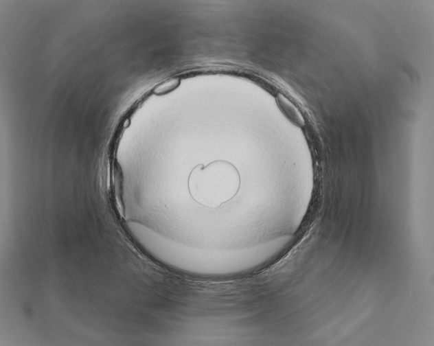 X0000111441269200908241136