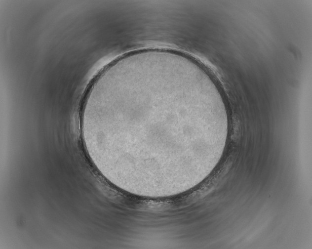 X0000111441271200908241136
