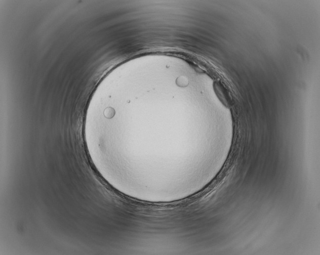 X0000111441273200908241136