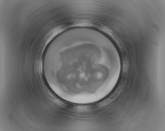 X0000111441274200908241136