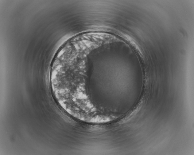 X0000111441275200908241136