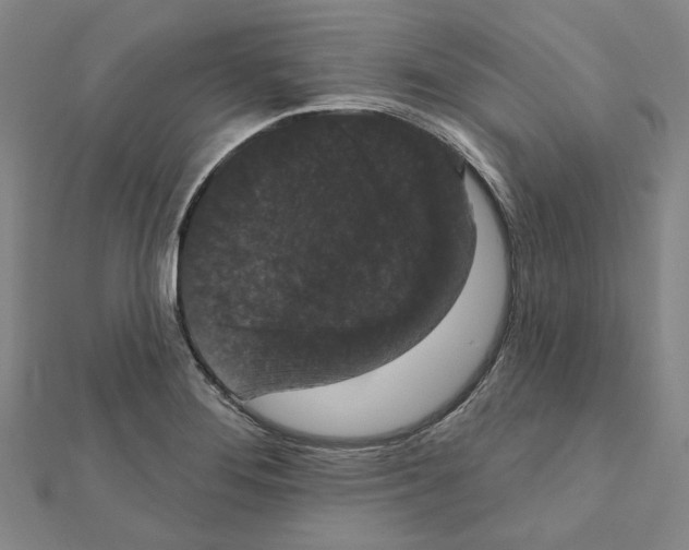 X0000111441276200908241136