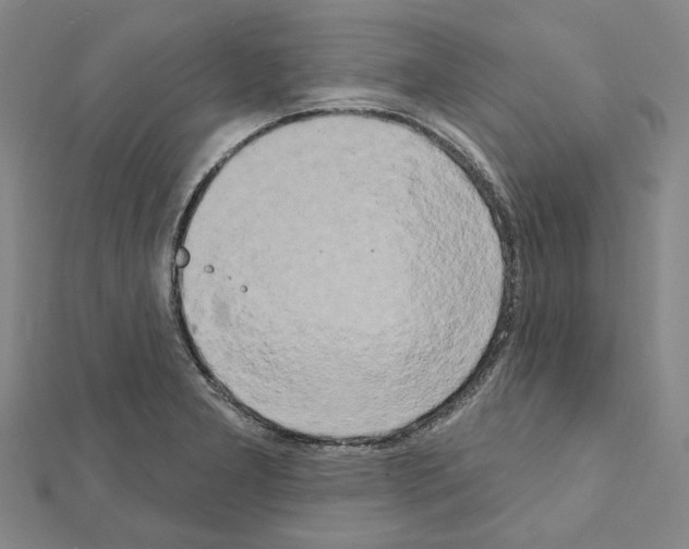 X0000111441277200908241136