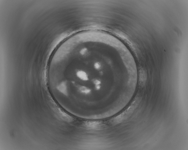 X0000111441278200908241136