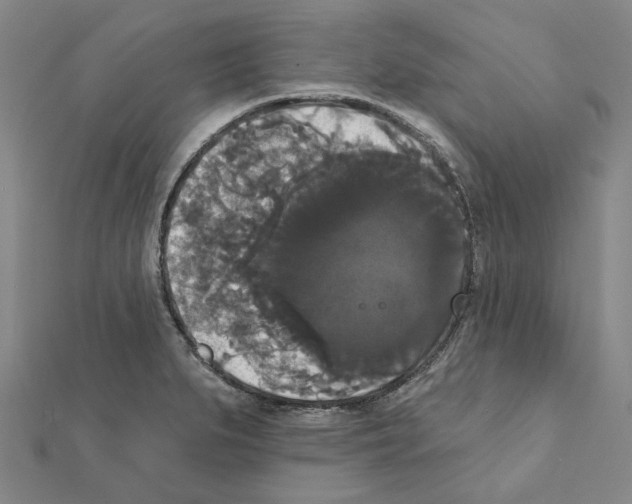 X0000111441279200908241136