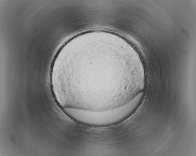 X0000111441280200908241136