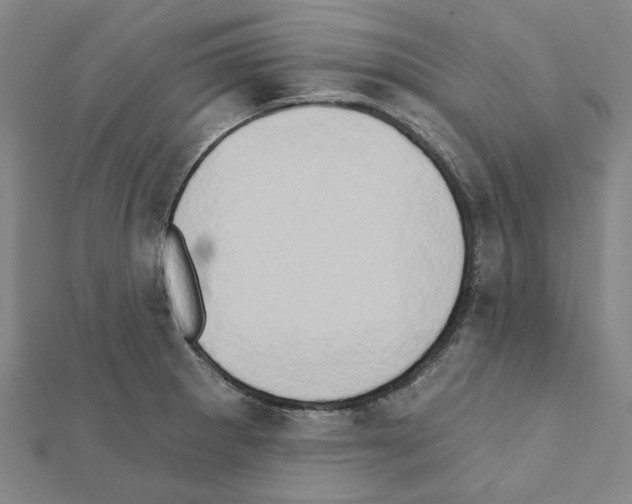 X0000111441281200908241136