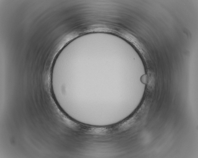 X0000111441282200908241136