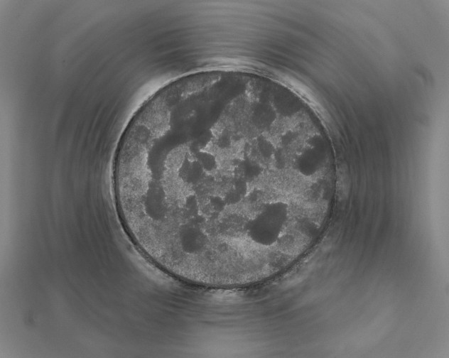 X0000111441283200908241136