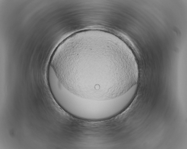 X0000111441284200908241136