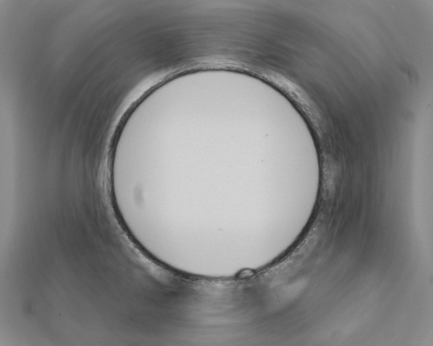 X0000111441286200908241136