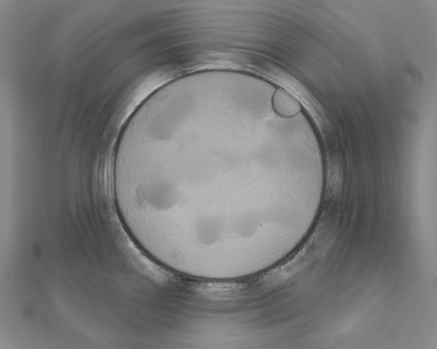 X0000111441290200908241135