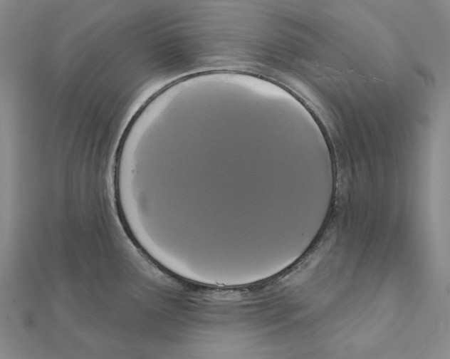 X0000111441291200908241135