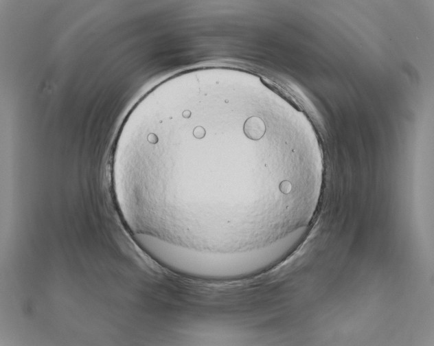 X0000111441292200908241135