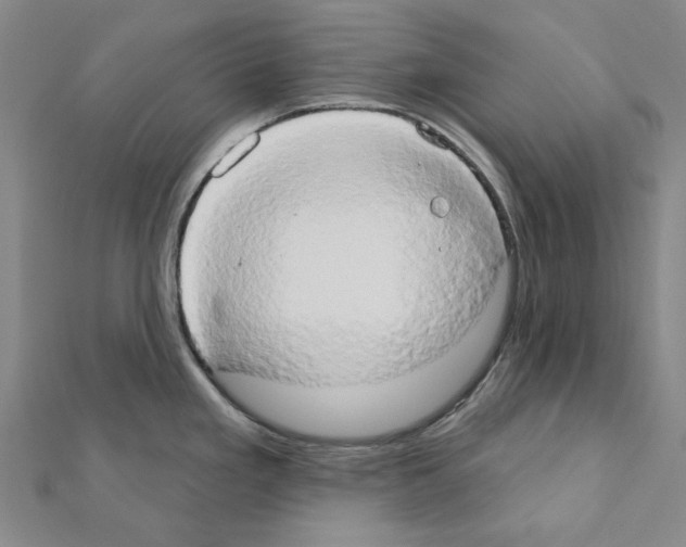 X0000111441293200908241135