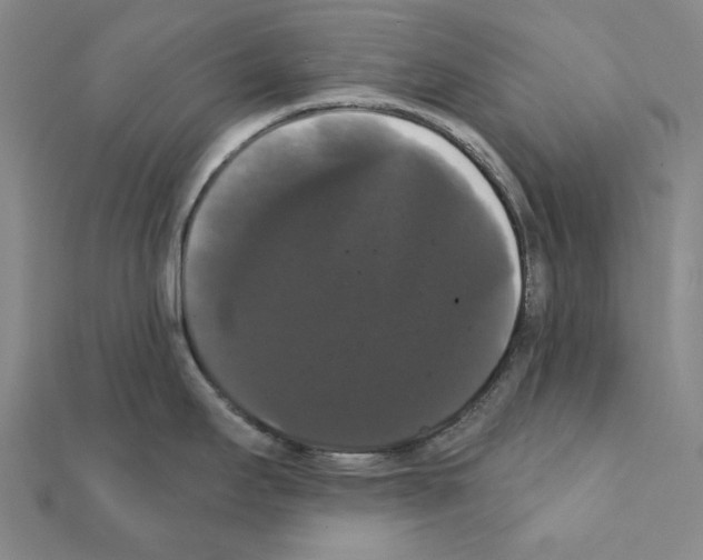 X0000111441295200908241135