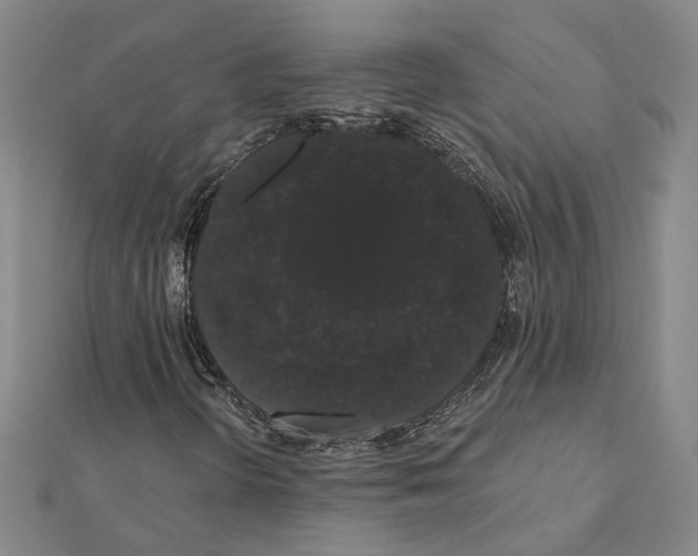 X0000111441298200908241135