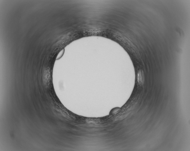 X0000111441299200908241135